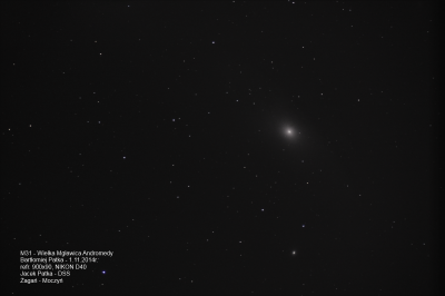 M31