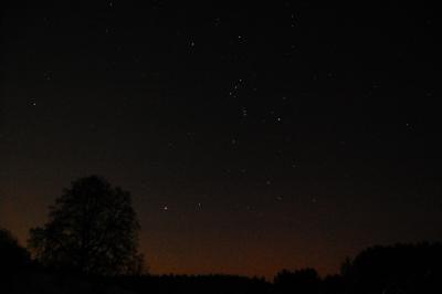 orion-1-13-01-2009.jpg