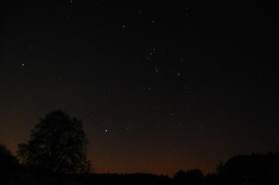 orion-3-13-01-2009.jpg